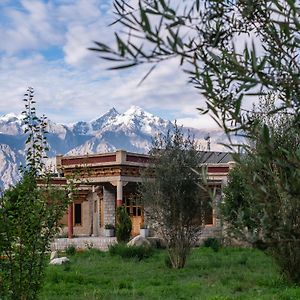 Lchang Nang Retreat-The House Of Trees-Nubra Valley